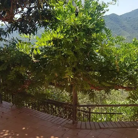 La Casetta Degli Ulivi *