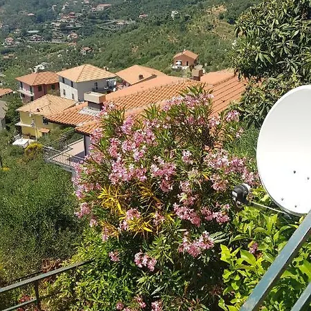 La Casetta Degli Ulivi *