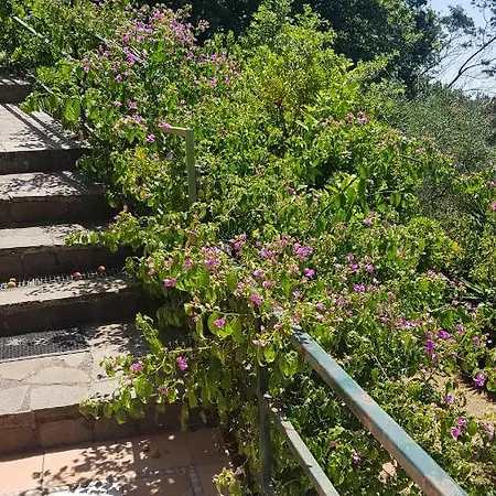 La Casetta Degli Ulivi San Bartolomeo (Chiavari)